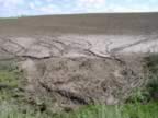 Erosion in the UIRW (23kb)